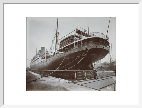 Cunard's SS Alaunia Royal Albert Dock 20th century