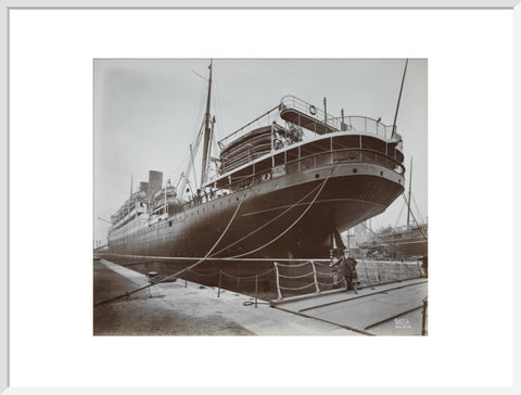 Cunard's SS Alaunia Royal Albert Dock 20th century