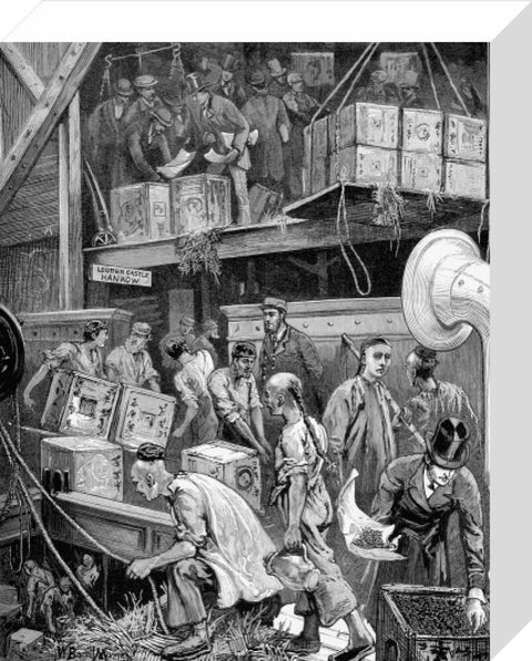 The arrival of Loudoun Castle at the London Dock 1877