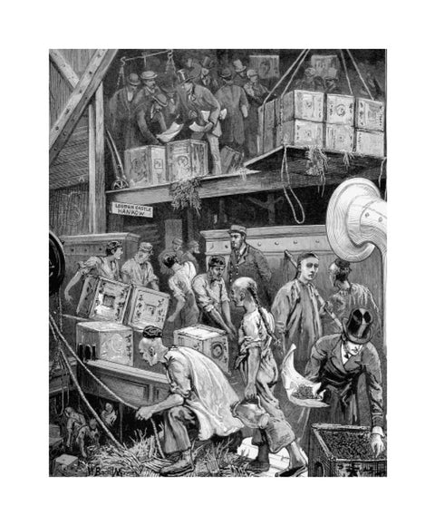 The arrival of Loudoun Castle at the London Dock 1877