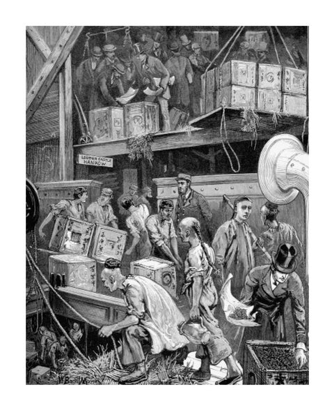 The arrival of Loudoun Castle at the London Dock 1877