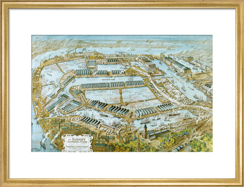 Surrey Commercial Docks 1906