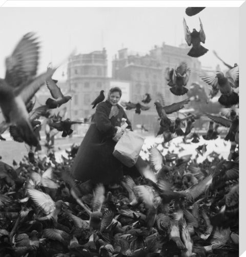 Feeding the pigeons in Trafalgar Square 20th century