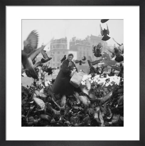 Feeding the pigeons in Trafalgar Square 20th century