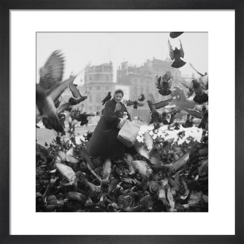 Feeding the pigeons in Trafalgar Square 20th century