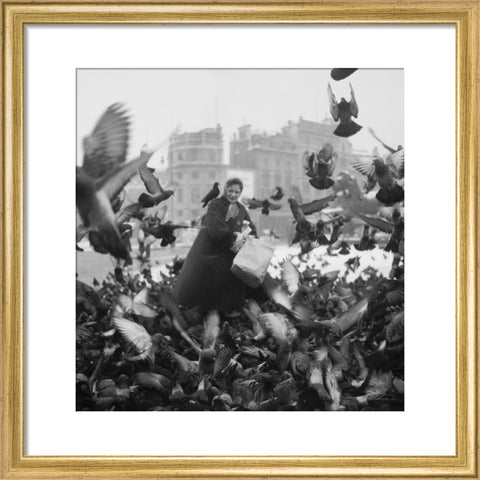 Feeding the pigeons in Trafalgar Square 20th century