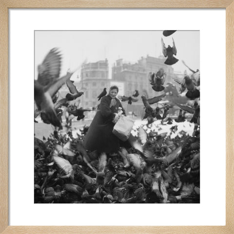 Feeding the pigeons in Trafalgar Square 20th century