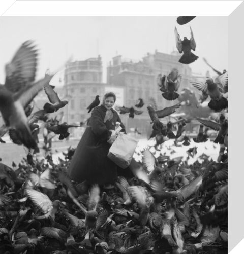 Feeding the pigeons in Trafalgar Square 20th century