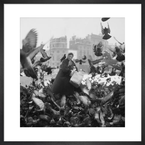 Feeding the pigeons in Trafalgar Square 20th century