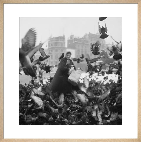 Feeding the pigeons in Trafalgar Square 20th century