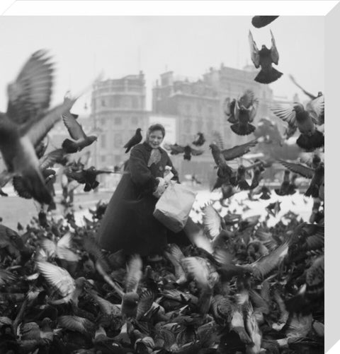 Feeding the pigeons in Trafalgar Square 20th century