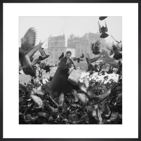 Feeding the pigeons in Trafalgar Square 20th century