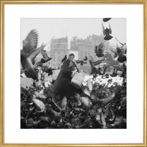 Feeding the pigeons in Trafalgar Square 20th century