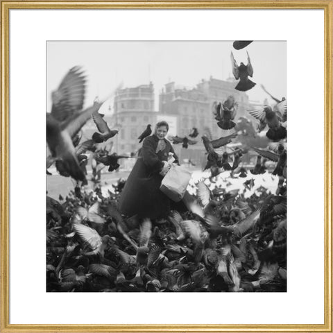 Feeding the pigeons in Trafalgar Square 20th century