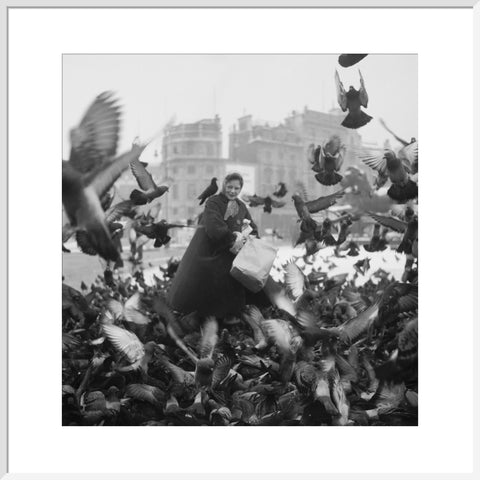 Feeding the pigeons in Trafalgar Square 20th century