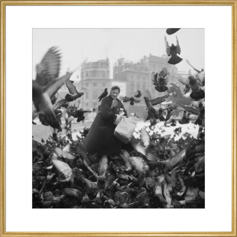 Feeding the pigeons in Trafalgar Square 20th century