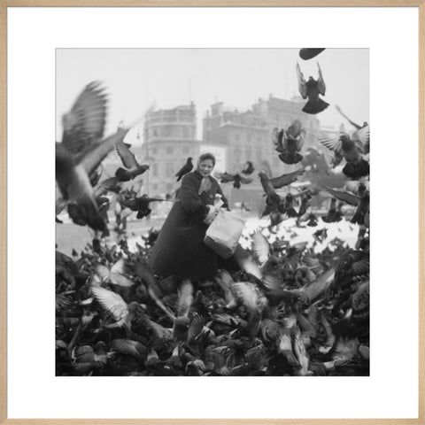 Feeding the pigeons in Trafalgar Square 20th century