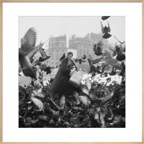 Feeding the pigeons in Trafalgar Square 20th century