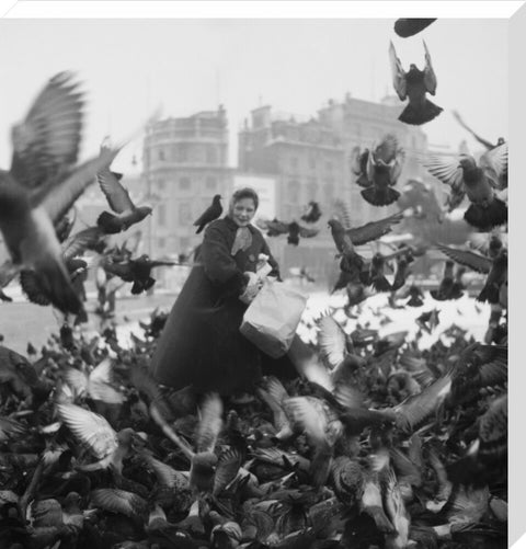 Feeding the pigeons in Trafalgar Square 20th century