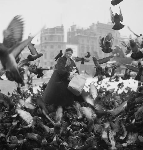 Feeding the pigeons in Trafalgar Square 20th century