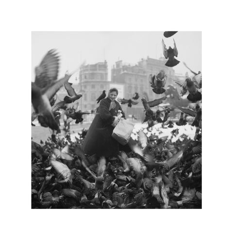 Feeding the pigeons in Trafalgar Square 20th century