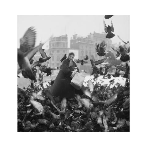 Feeding the pigeons in Trafalgar Square 20th century