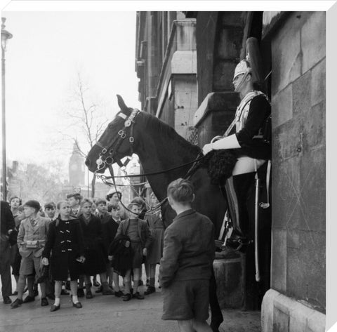 Children watch the horse guards 1960