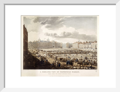 A Bird's Eye View of Smithfield Market 1811