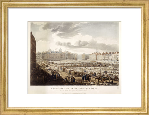 A Bird's Eye View of Smithfield Market 1811