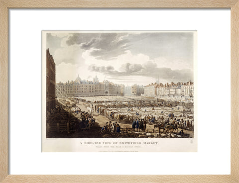 A Bird's Eye View of Smithfield Market 1811