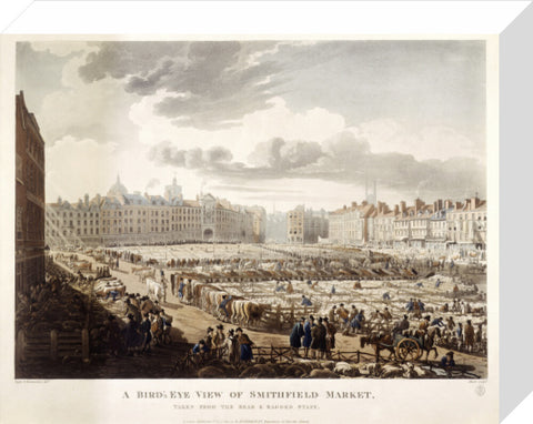 A Bird's Eye View of Smithfield Market 1811