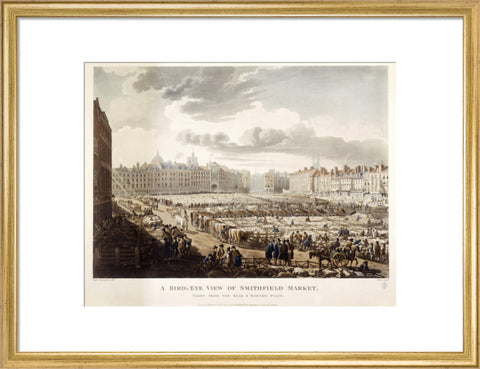 A Bird's Eye View of Smithfield Market 1811