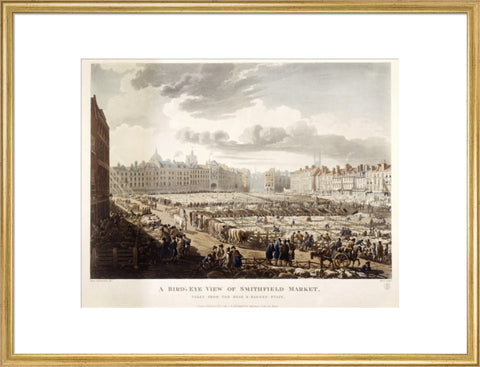 A Bird's Eye View of Smithfield Market 1811