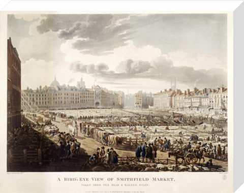 A Bird's Eye View of Smithfield Market 1811