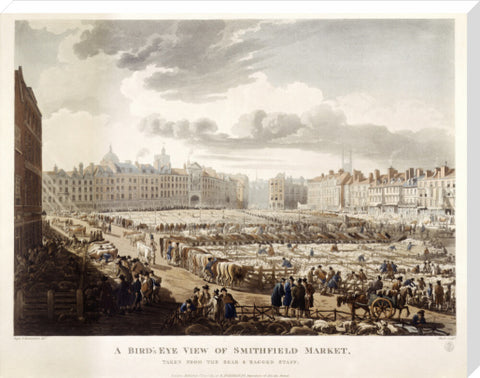 A Bird's Eye View of Smithfield Market 1811