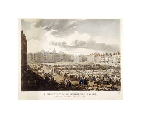 A Bird's Eye View of Smithfield Market 1811