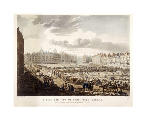 A Bird's Eye View of Smithfield Market 1811