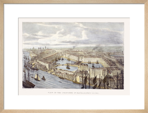 View of the proposed St. Katharine's Docks 19th century