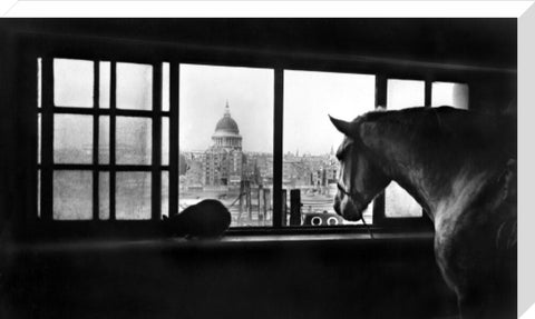 Multi-storey horse stables near Southwark Bridge 20th century