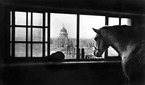 Multi-storey horse stables near Southwark Bridge 20th century