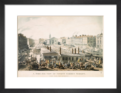 A Bird's Eye View of Covent Garden Market Taken from the Hummums 1811