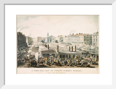 A Bird's Eye View of Covent Garden Market Taken from the Hummums 1811