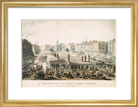 A Bird's Eye View of Covent Garden Market Taken from the Hummums 1811