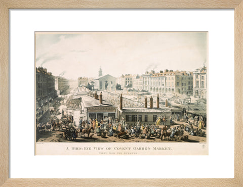 A Bird's Eye View of Covent Garden Market Taken from the Hummums 1811