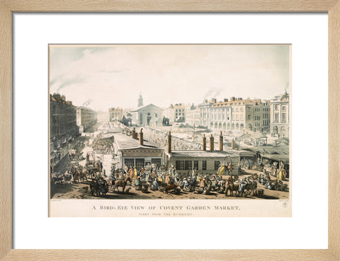 A Bird's Eye View of Covent Garden Market Taken from the Hummums 1811