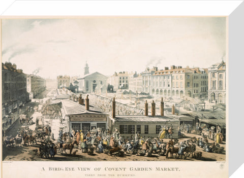 A Bird's Eye View of Covent Garden Market Taken from the Hummums 1811