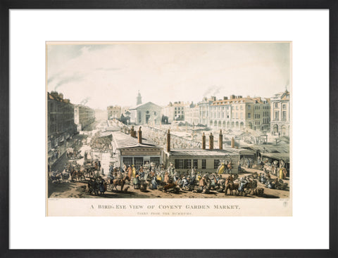 A Bird's Eye View of Covent Garden Market Taken from the Hummums 1811