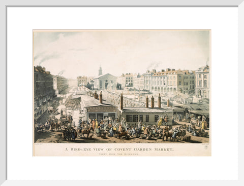 A Bird's Eye View of Covent Garden Market Taken from the Hummums 1811