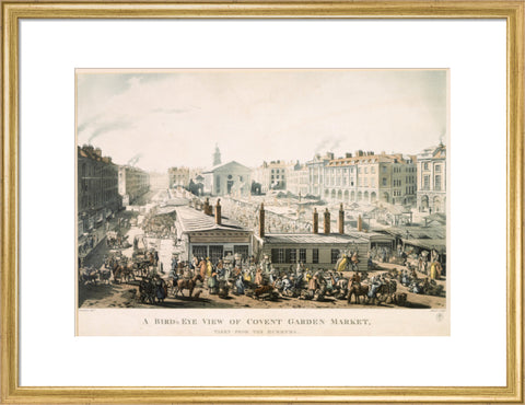 A Bird's Eye View of Covent Garden Market Taken from the Hummums 1811