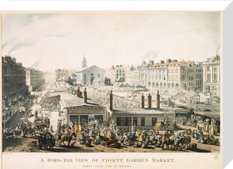 A Bird's Eye View of Covent Garden Market Taken from the Hummums 1811